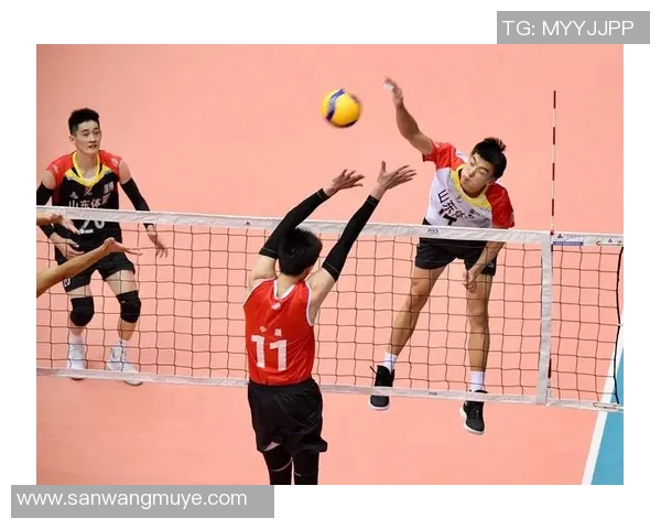 南京排球队跻身全国排球个人能力排行榜第十名展现实力与潜力