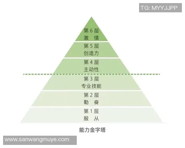 成都羽毛球队在世锦赛中的团队协作表现分析与启示 成都羽毛球队在世锦赛中的团队协作表现分析与启示