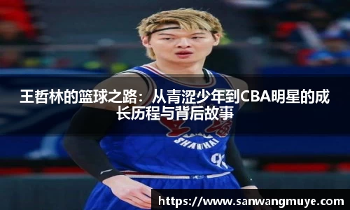 王哲林的篮球之路：从青涩少年到CBA明星的成长历程与背后故事
