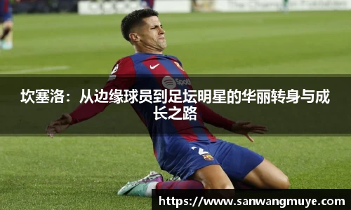 米兰体育