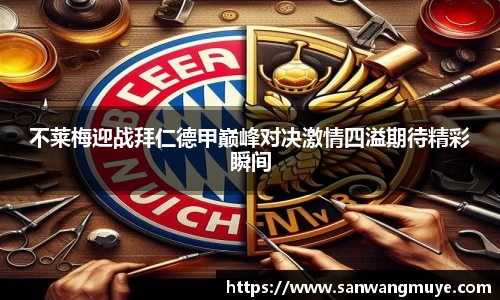 米兰体育官网
