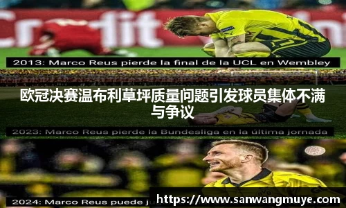 欧冠决赛温布利草坪质量问题引发球员集体不满与争议